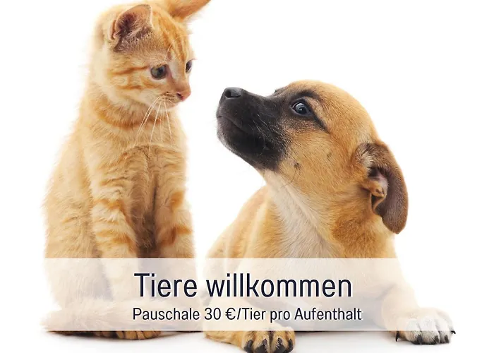 Rosmarin - Kuschelige Fewo - Romantik & Entspannung Im Whirlpool Auf Privater Terrasse, Ruhe & Hund Willkommen - By Ferienwohnenamsee -