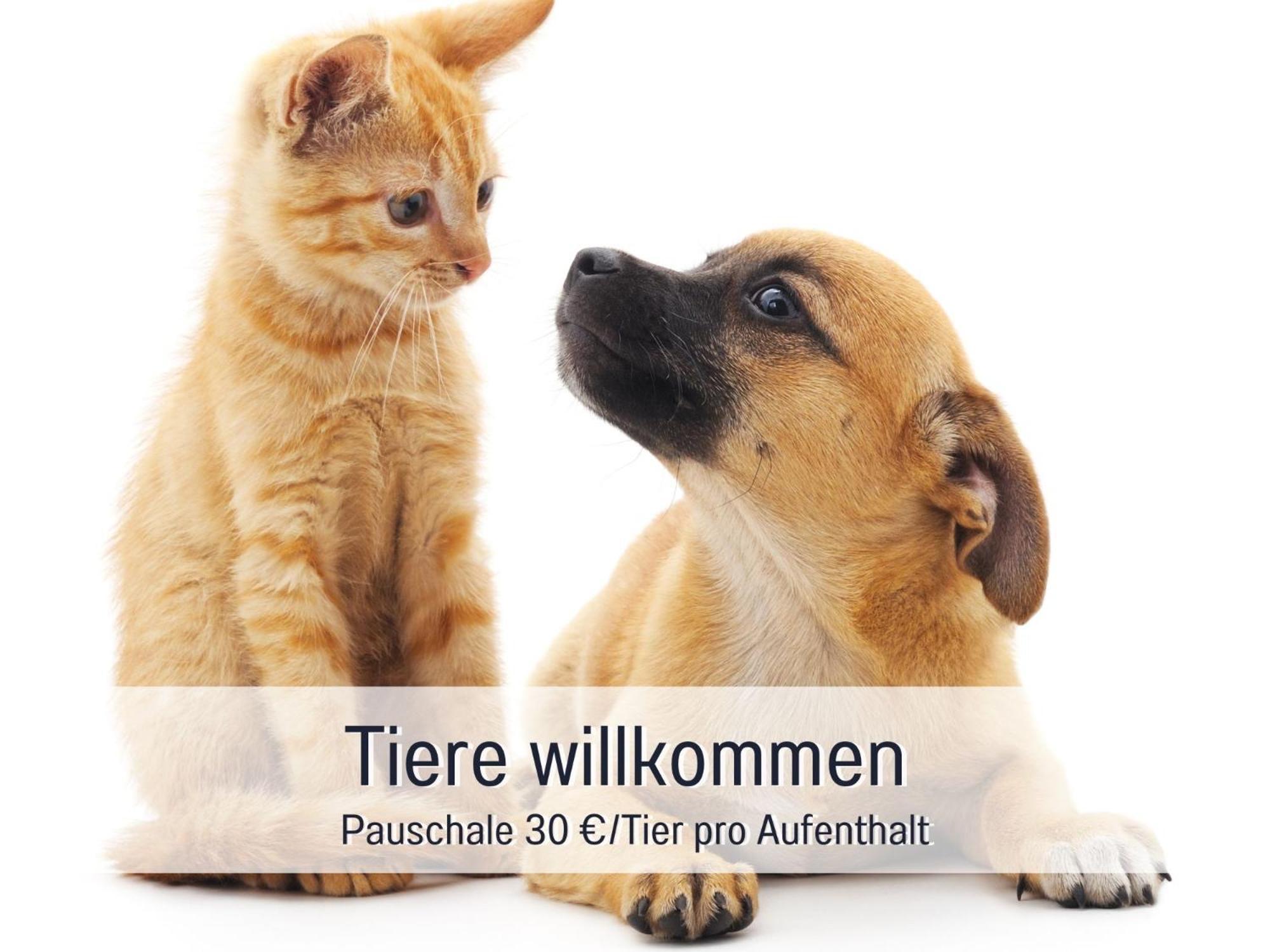 Apartment Rosmarin - Kuschelige - Romantik & Entspannung Im Whirlpool Auf Privater Terrasse, Ruhe & Hund Willkommen - By Ferienwohnenamsee - *